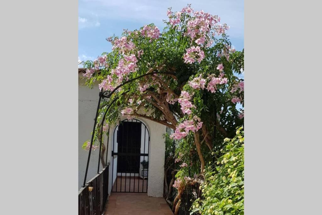 Fabulous Refurbished Apartment Above Private Villa ベニッサ エクステリア 写真